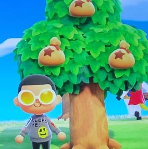 Meet your Posher, Miguel